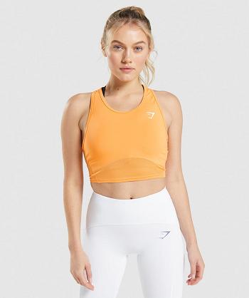 Podkoszulki Damskie Gymshark Pulse Crop Morelowe Pomarańczowe | PL 3065QMA